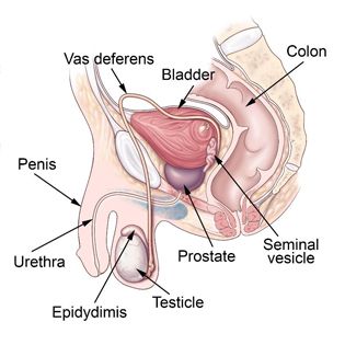Urinary fistulas after prostate or pelvic surgery